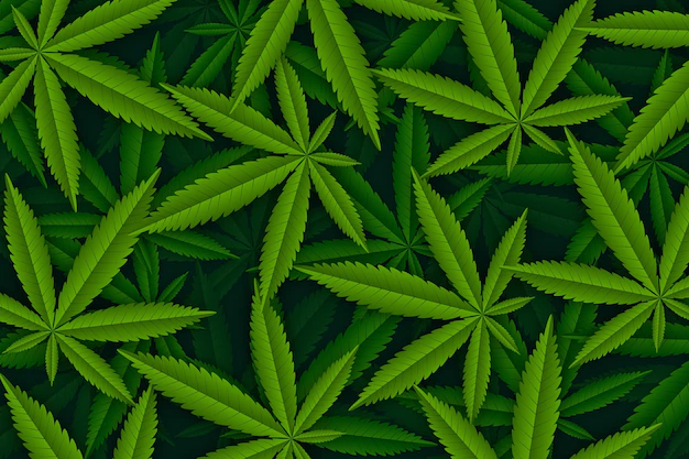 Free Vector | Realistic marijuana leaf background