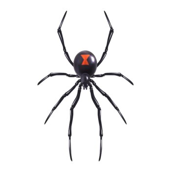 Free Vector | Realistic spider isolated