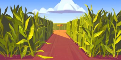 Free Vector | Road on cornfield with fork and wooden direction sign. concept of choosing way and making decision. cartoon landscape with tall corn stems and crossroad with pointers