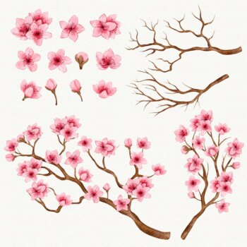 Free Vector | Sakura branches and flowers collection