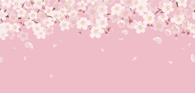 Free Vector | Seamless floral with cherry blossoms in full bloom on a pink.