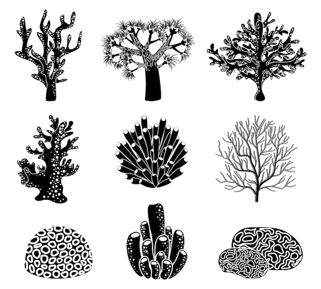 Free Vector | Set of black coral silhouettes.