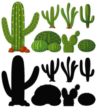 Free Vector | Set of cactus plant