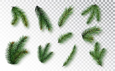 Free Vector | Set of fir branches isolated on a transparent background. an create a variety of new year s compositions for your festive design.