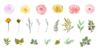Free Vector | Set of gorgeous individual watercolor flowers and leaves collection