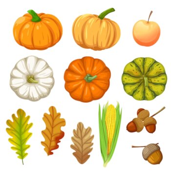 Free Vector | Set of icons with pumpkin, corn, walnuts and leaves isolated on white.