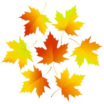 Free Vector | Set of leaves falling