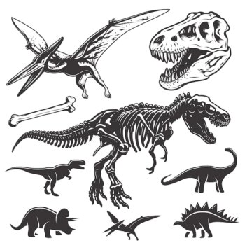 Free Vector | Set of monochrome dinosaurs. archeology elements. t-rex skull and skeleton. dinosaurs icons.
