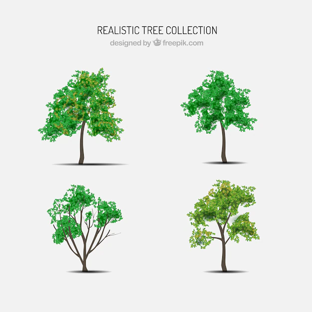 Free Vector | Set of trees in realistic style