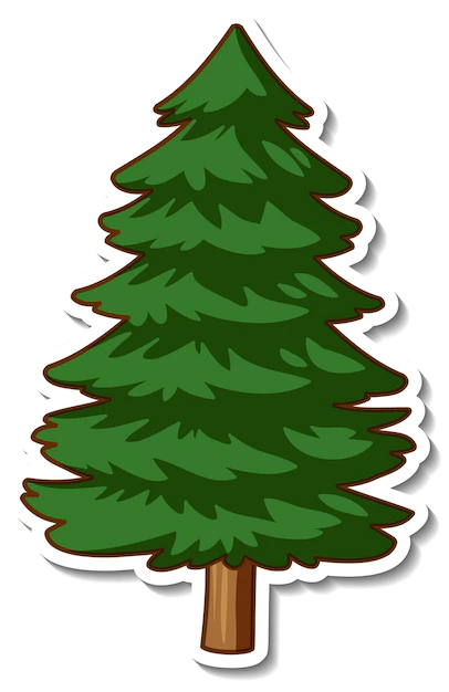 Free Vector | Sticker design with a spruce or pine tree isolated