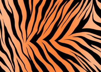 Free Vector | Tiger fur texture background