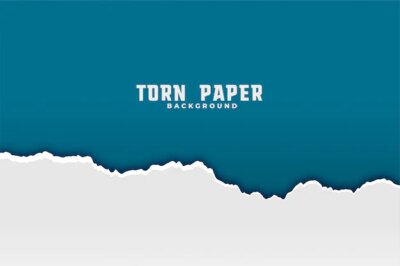 Free Vector | Torn ripped paper background