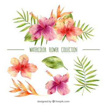 Free Vector | Tropical flowers collection in watercolor style