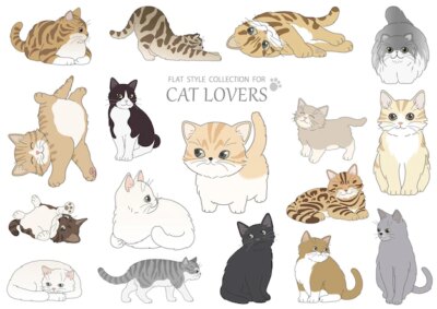 Free Vector | Vector flat style cats illustration set isolated on a white background
