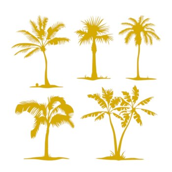 Free Vector | Vector palm contours isolated on white. illustration set