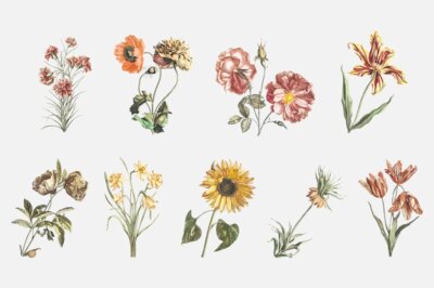 Free Vector | Vintage flower vector hand drawn illustration set