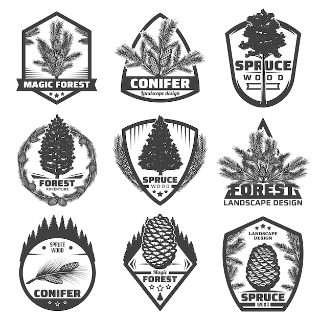Free Vector | Vintage monochrome conifers labels set with fir spruce pine trees branches and cones isolated