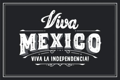 Free Vector | Viva mexico lettering on black background
