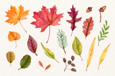 Free Vector | Watercolor autumn leaves collection