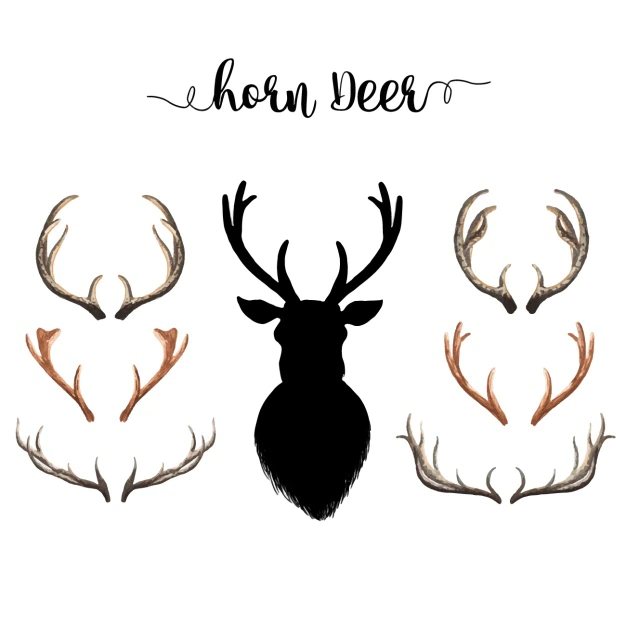Free Vector | Watercolor deer horns collection