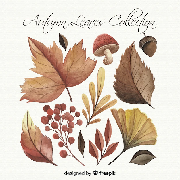 Free Vector | Watercolor style autumn leaves collection