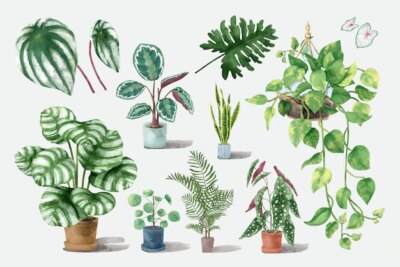Free Vector | Watercolor tropical plant set illustration