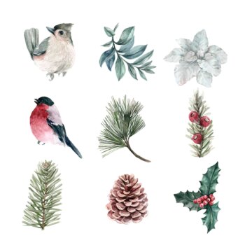 Free Vector | Watercolor winter plants and bird collection