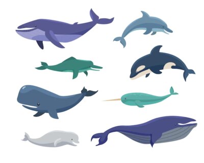 Free Vector | Whales, bowheads, narwhals, orcas cartoon illustration set
