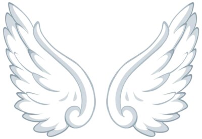 Free Vector | White wings isolated on white background