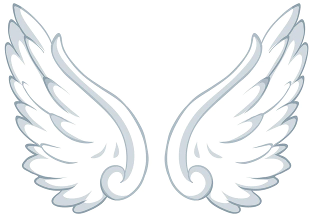 Free Vector | White wings isolated on white background