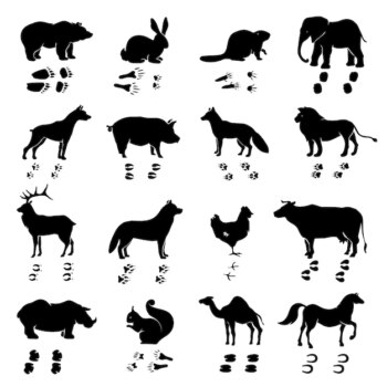 Free Vector | Wild and domestic animals and birds silhouettes