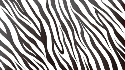 Free Vector | Zebra print texture background