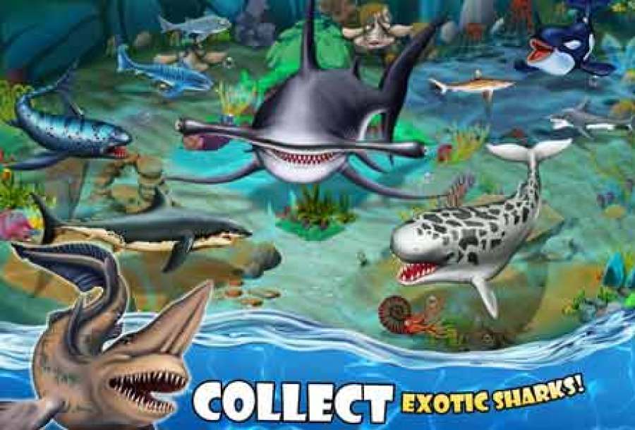 Shark World Mod Apk