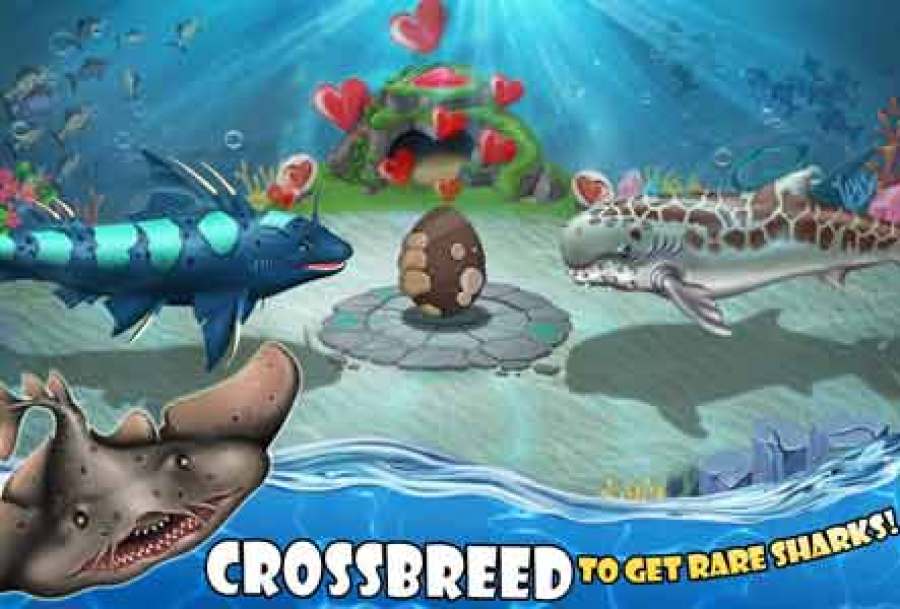 Shark World Mod Apk