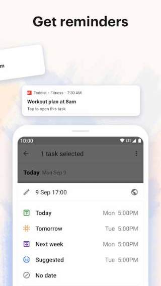 Todoist Mod Apk, 