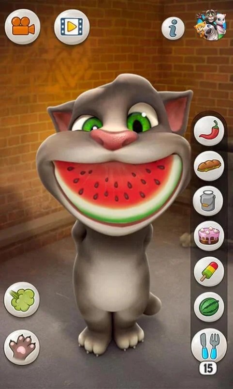 Talking Tom Cat hack