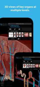 Human Anatomy Atlas 2023 Mod Apk (2)