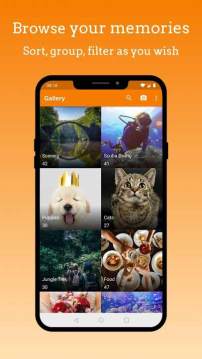 download Simple Gallery Pro Mod Apk,