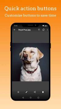 Simple Gallery Pro Mod Apk,  