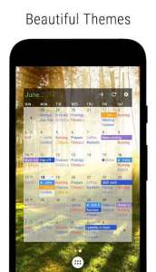 Business Calendar 2 PRO Mod Apk (5)