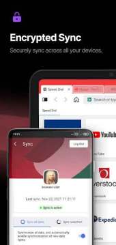 Vivaldi Browser Mod Apk (7)