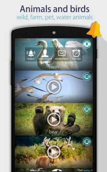 Animal Ringtones Apk,