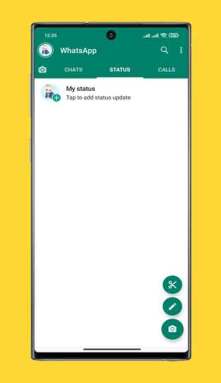 WhatsApp Plus Mod Apk (2)