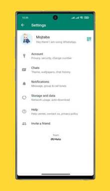 WhatsApp Plus Mod Apk (4)