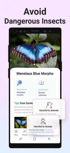 Picture Insect & Spider ID Mod Apk,  