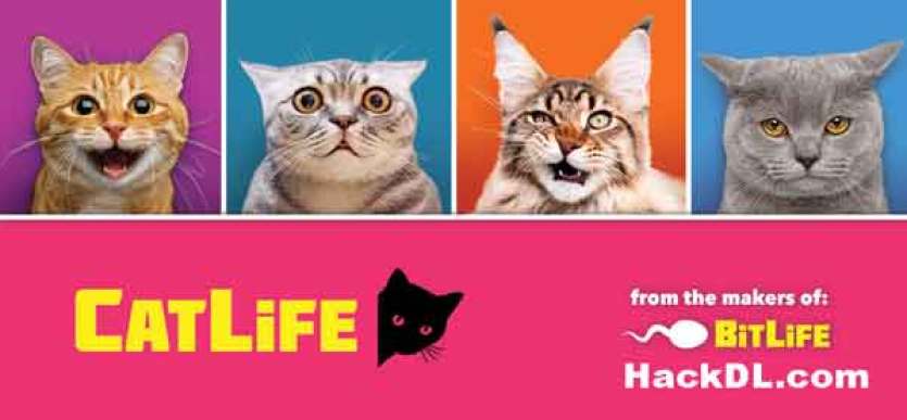 CatLife: BitLife Cats Hack Apk