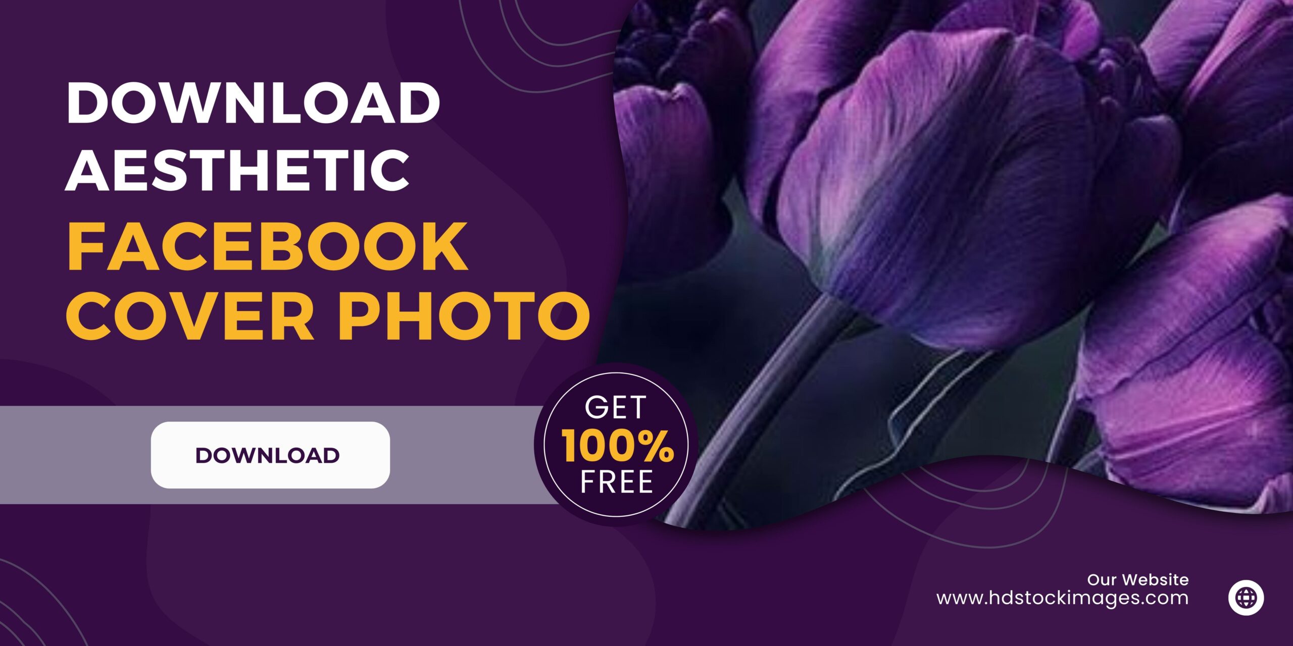 Top 20 Best Aesthetic Cover Photo For Facebook