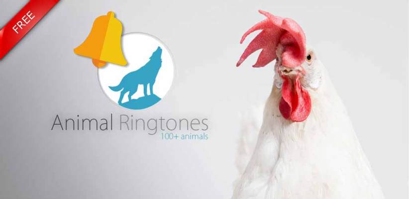 Animal Ringtones Apk,