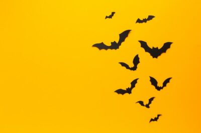 Free Photo | Halloween bats with orange background