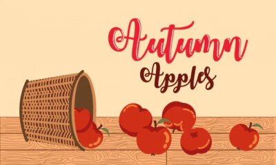 Free Vector | Autumn with apples in basket wicker illustration